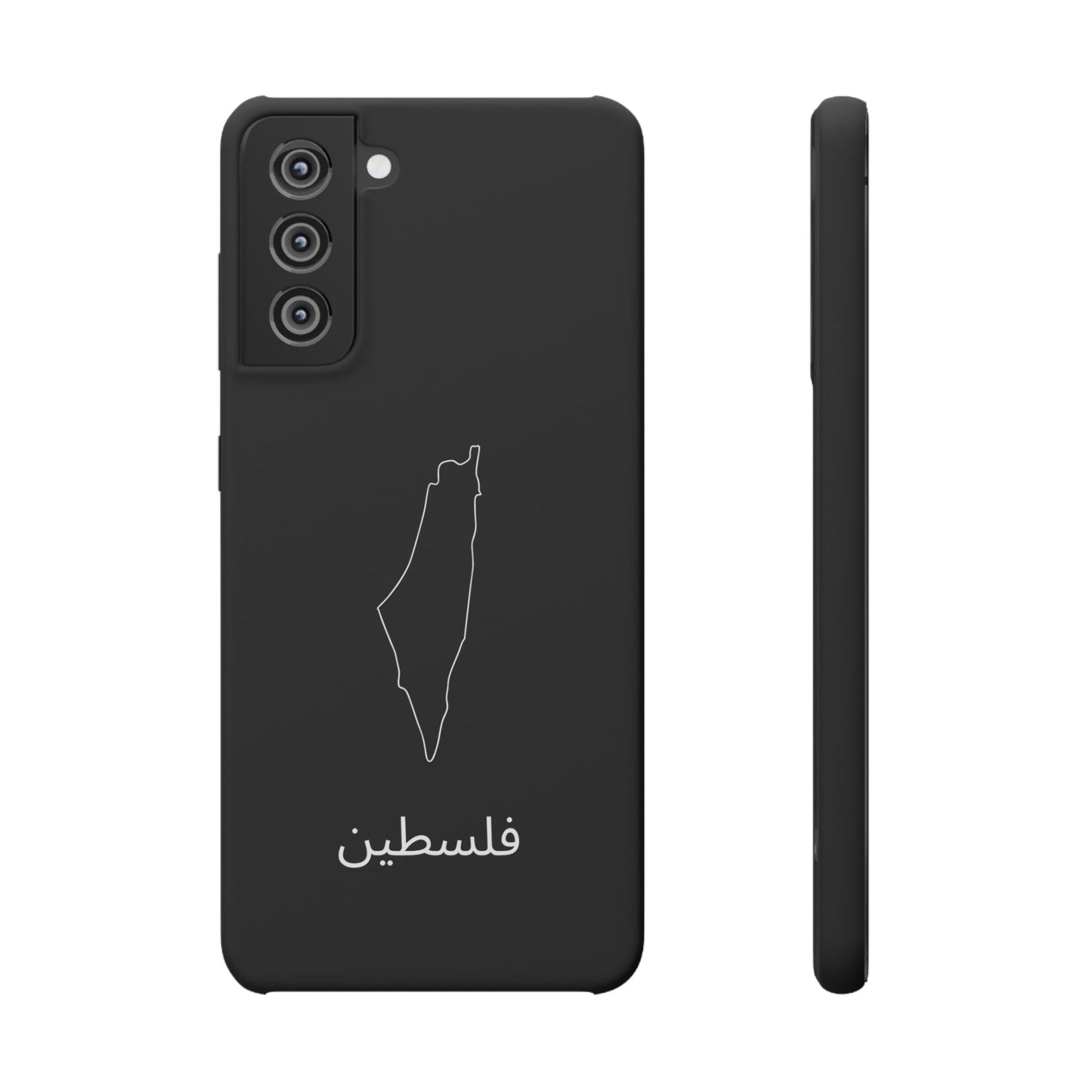 Palästina Landkarte arabisch